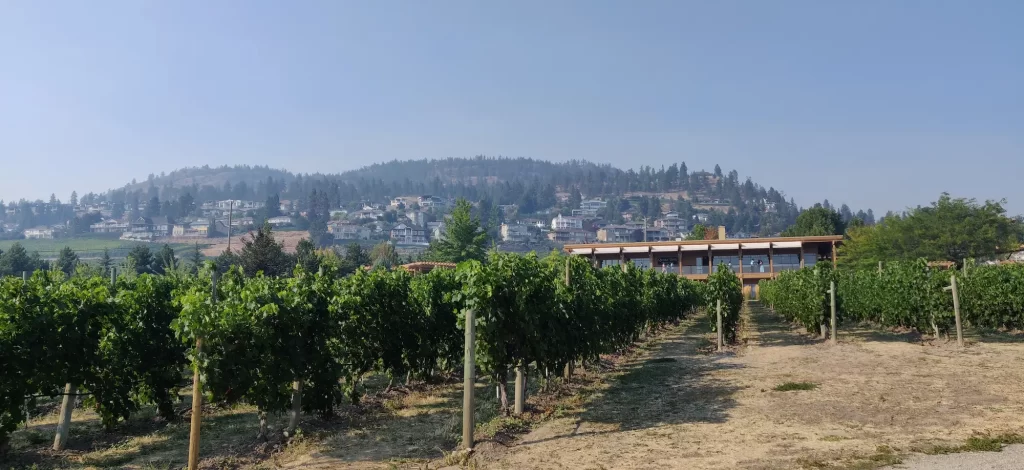 a picture of vineyard in front of a winery