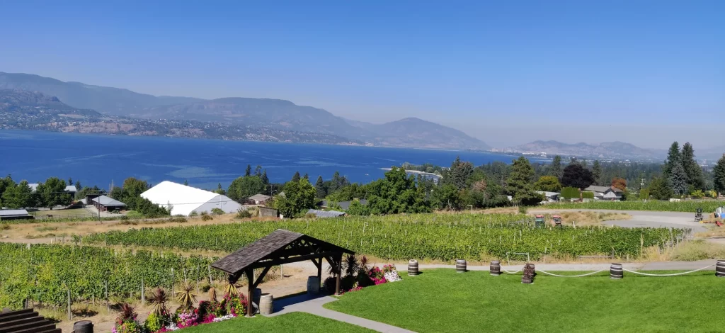 a view of vineyards next to the lake okanagan and the mountains in BC