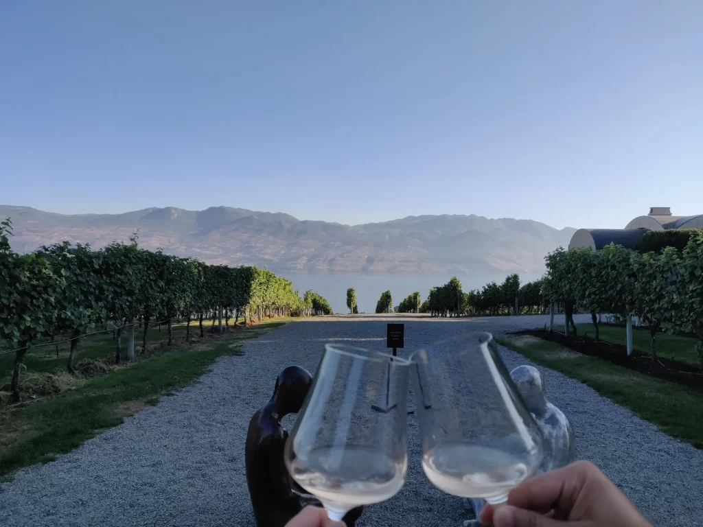 2 glasses filled with wine tapping, with a view of the okanagan valley