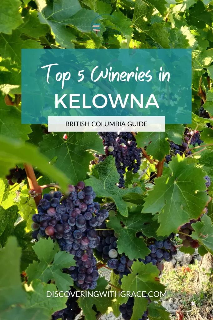 an image with grapes from a vineyard with text that reads top 5 wineries in kelowna