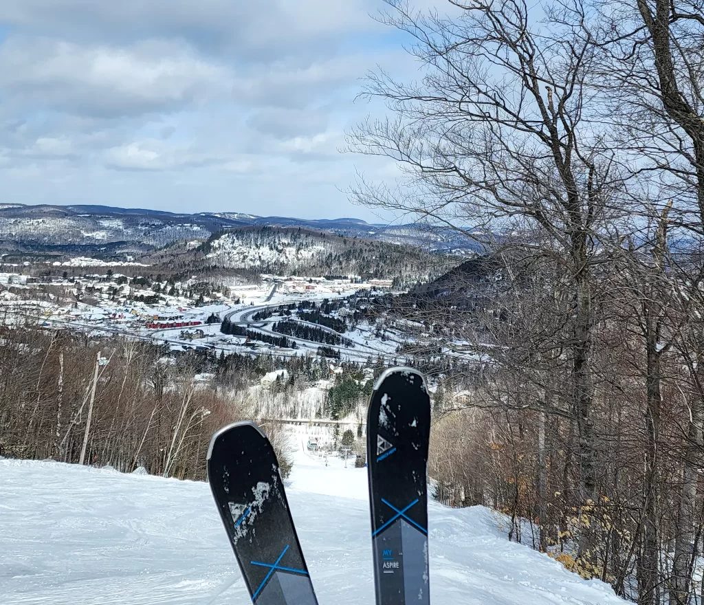 Skis posed in from of a mountain view