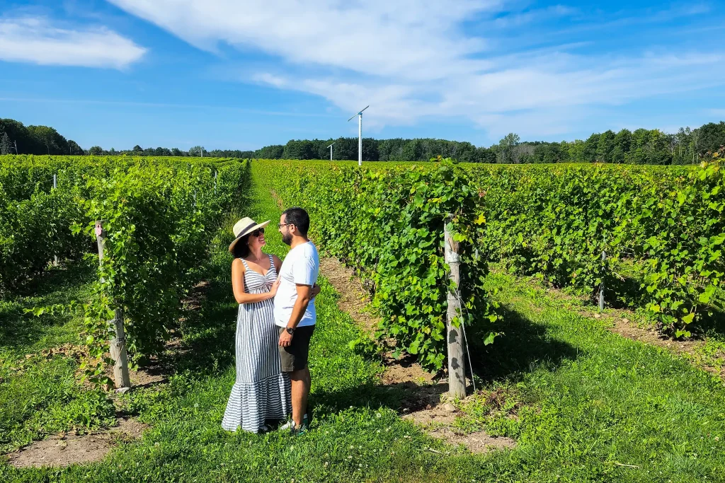 a couple standing in front of a vineyard