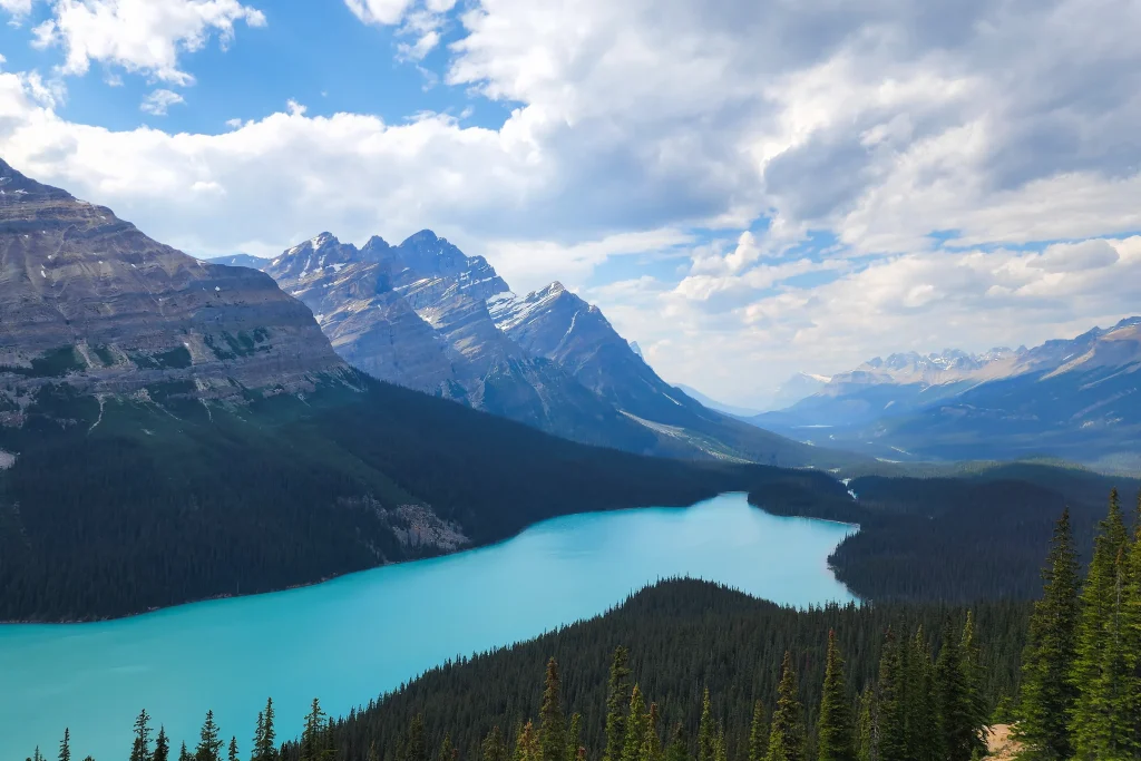 turquoise peyto lake surrounded by mountains