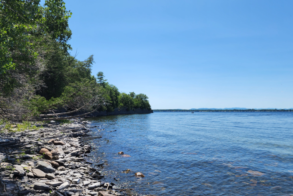 a lakeshore on the lake champlain with rocks a trees
