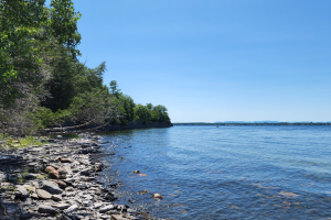 a lakeshore on the lake champlain with rocks a trees