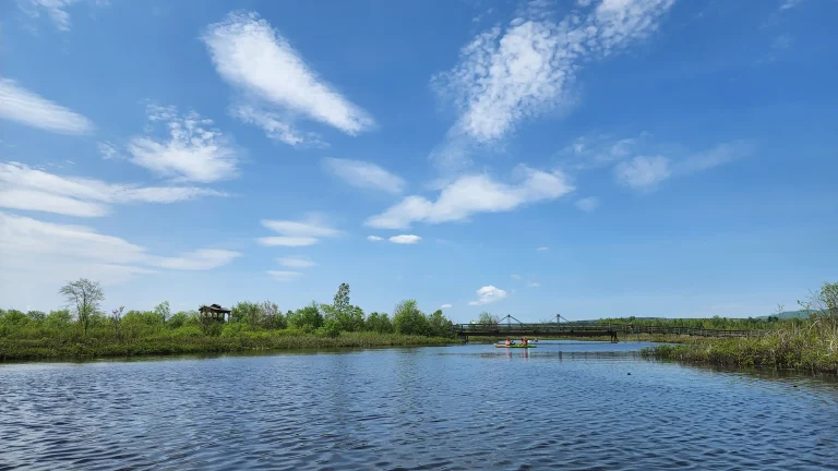 people kayaing in the marais au cerises a marsh in quebec