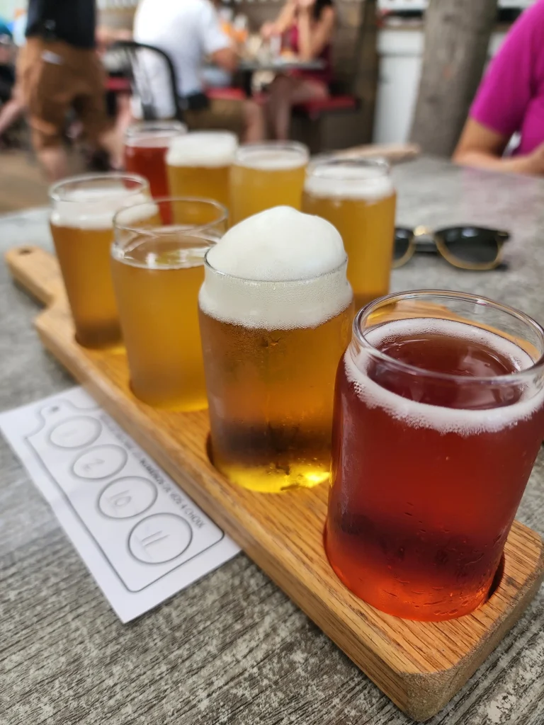 4 glasses of beer for tasting