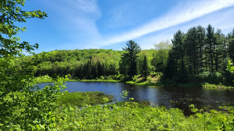 a pond in the Parc National Du Mont Orford surrounded by trees on a sunny day