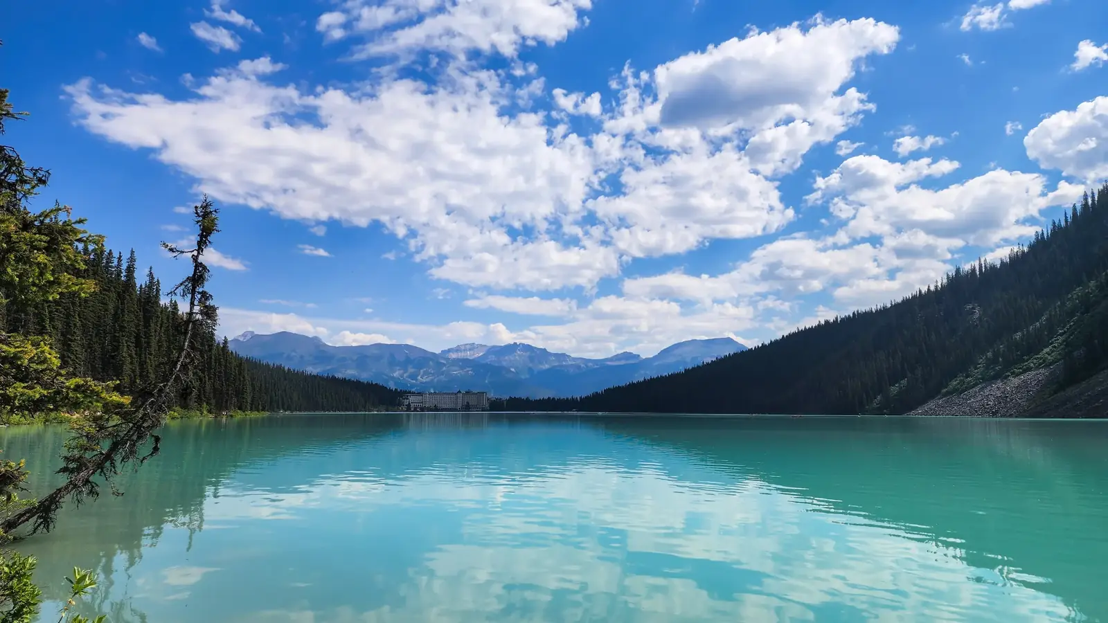 Mountain lake framed by evergreens